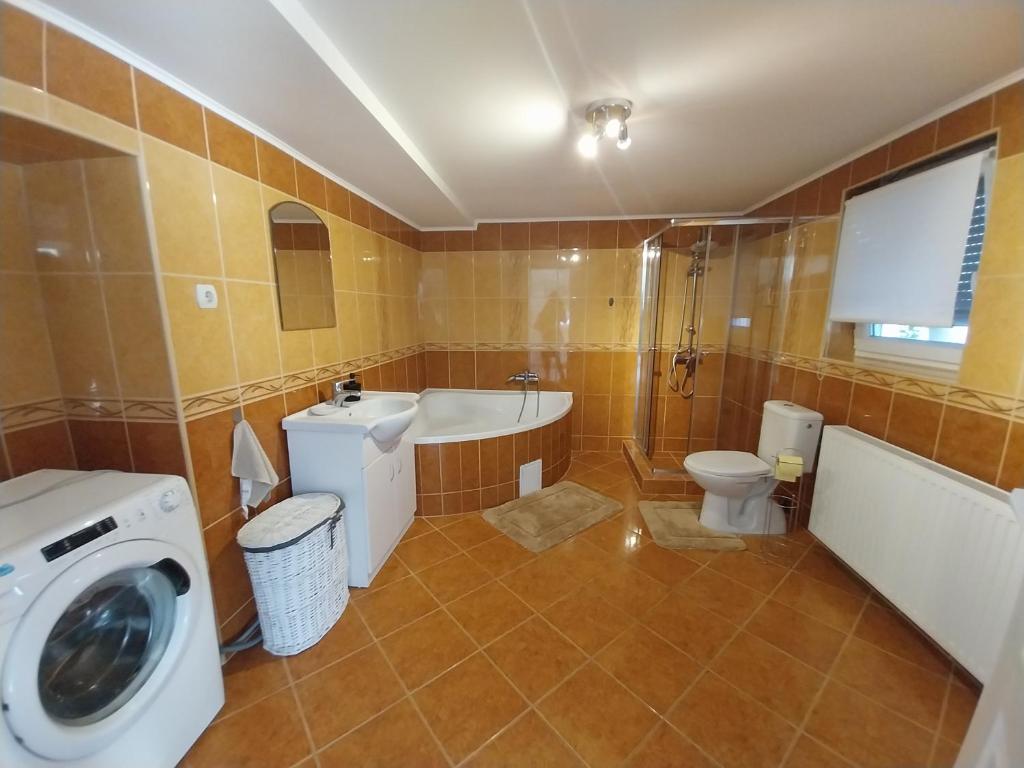 馬焦爾海爾泰倫德的住宿－Füge Vendégház，浴室配有卫生间水槽和洗衣机。