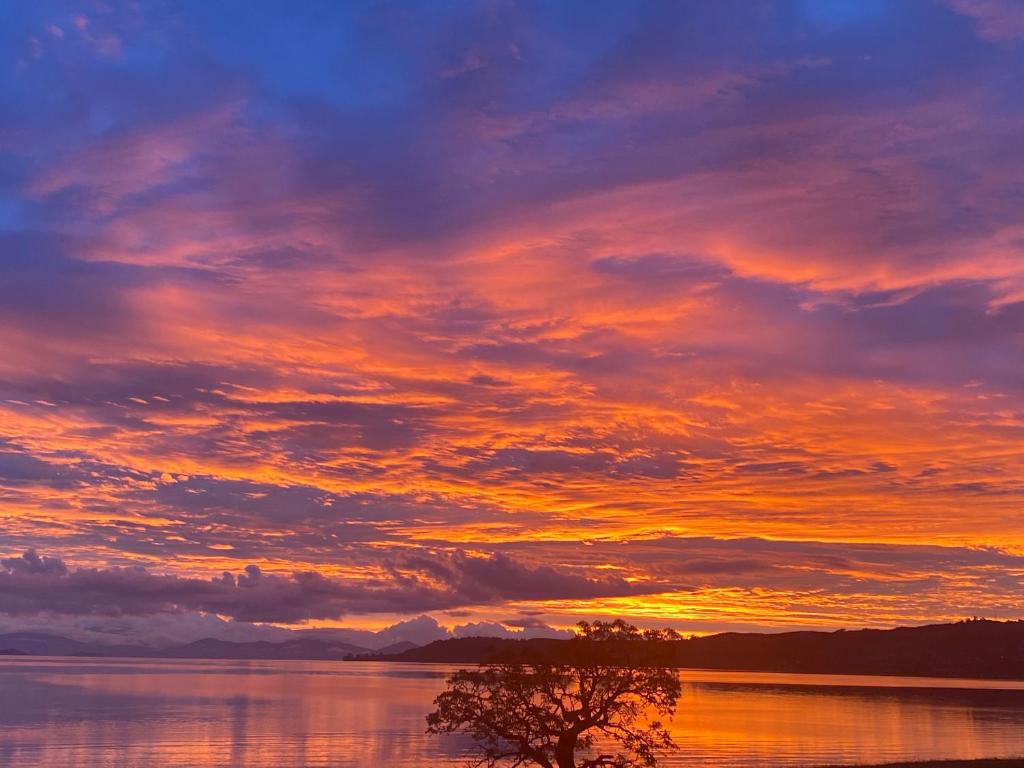Lakeside Taupo Motel - Resim 28