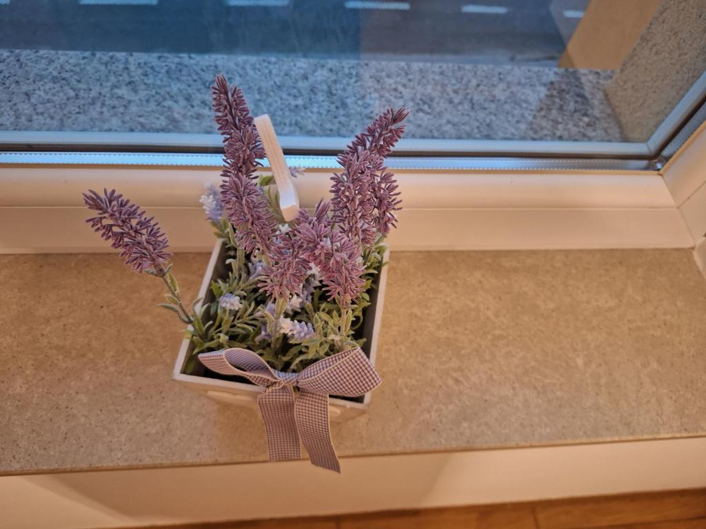 克拉尼的住宿－Apartma Samo，窗台上花紫色的花瓶