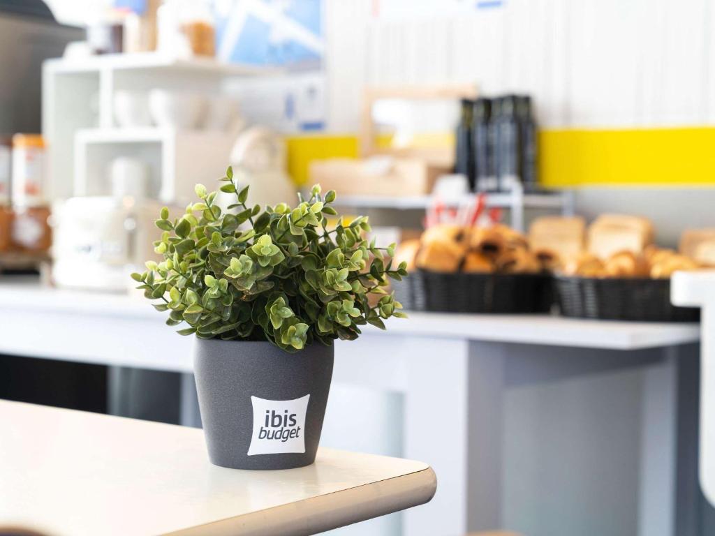 uma planta em um vaso sentado em uma mesa em ibis budget Saint Lô em Saint Lo