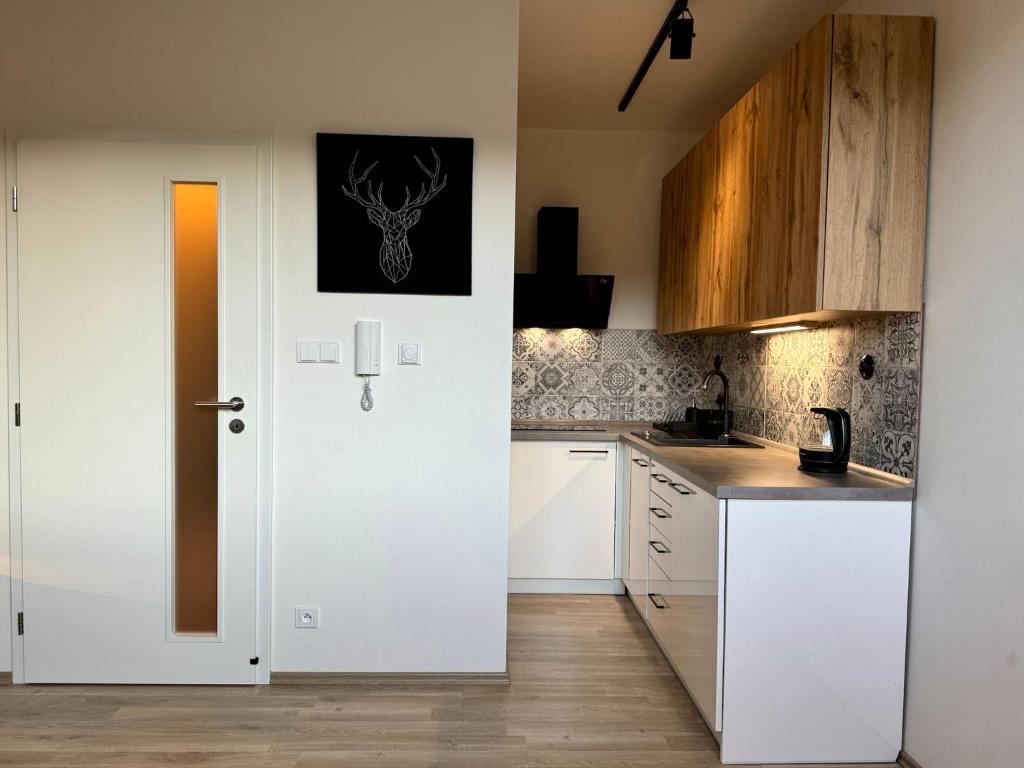 Kuchyň nebo kuchyňský kout v ubytování Horský apartmán Kvilda