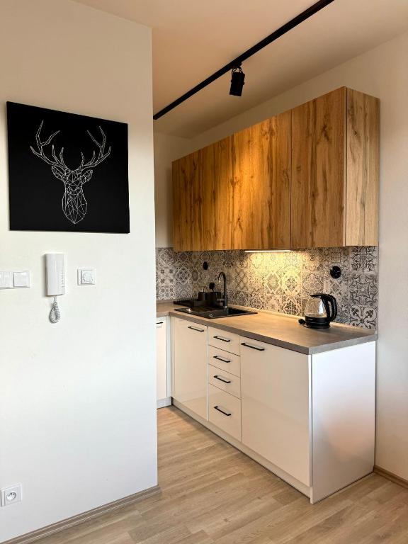 Kuchyň nebo kuchyňský kout v ubytování Horský apartmán Kvilda