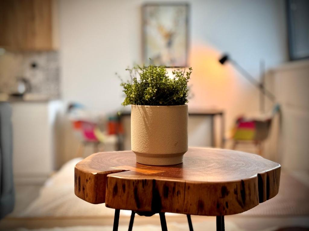 Fotografie z fotogalerie ubytování Horský apartmán Kvilda v Kvildě