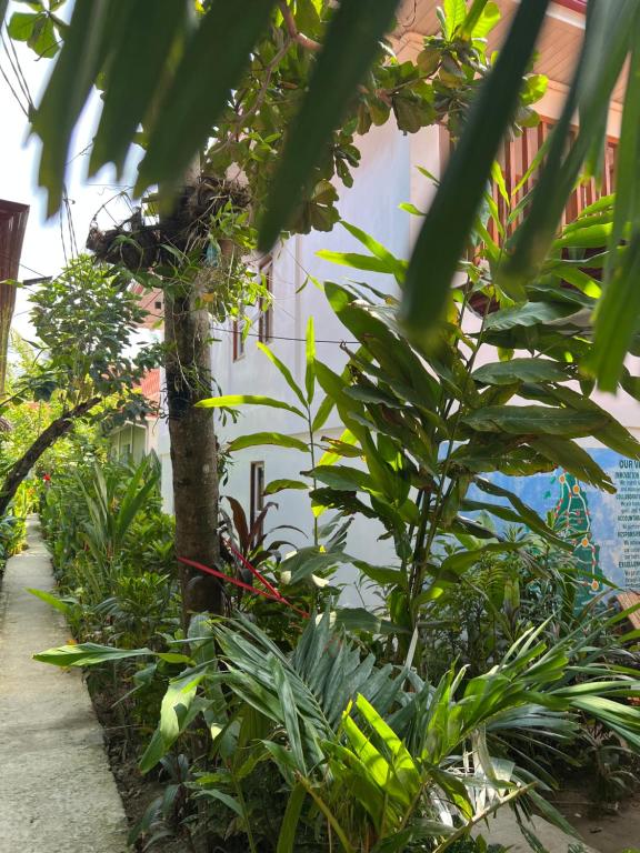 Siargao Residency by Privacy Group - Villa
