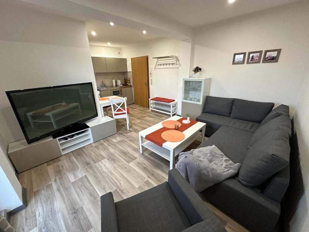 a living room with a couch and a flat screen tv at Appartement Wolfshagen in Elbingerode