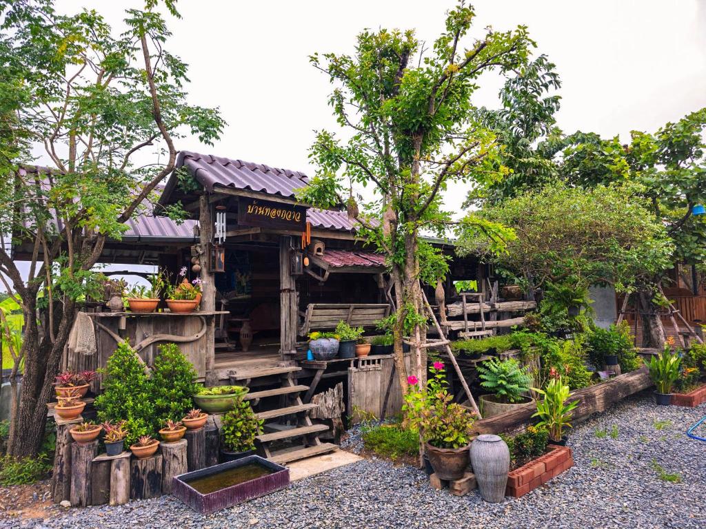 uma casa cheia de vasos de plantas e árvores em Suk Sabai Homestay em Sukhothai