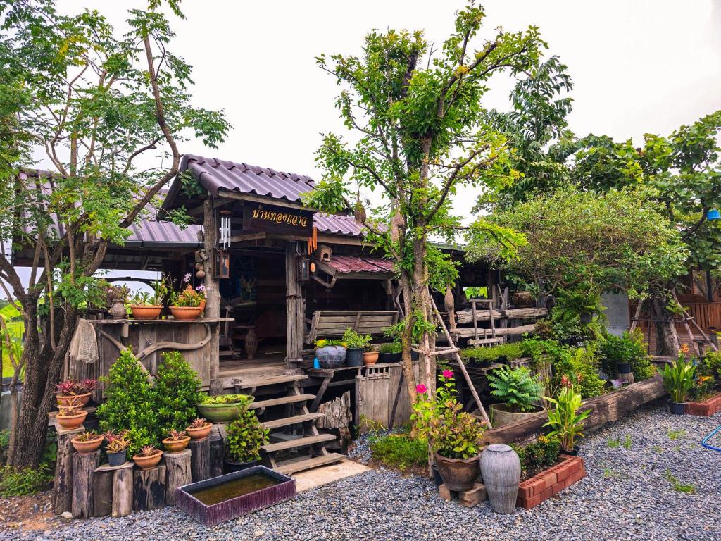 Zahrada ubytování Suk Sabai Homestay
