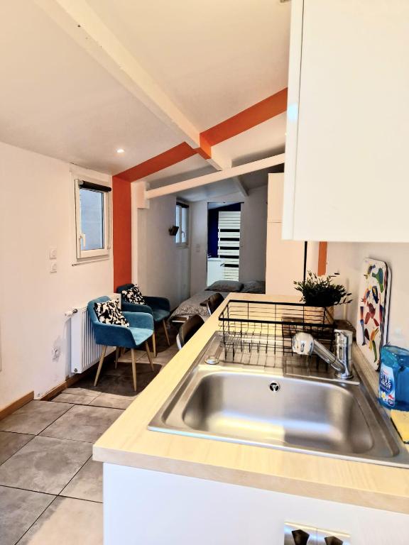 une cuisine avec un évier et un salon dans l'établissement Petit studio avec terrasse, à Toulouse