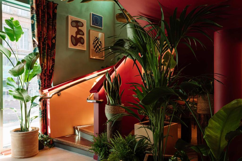 room2 Belfast Hometel - Resim 15