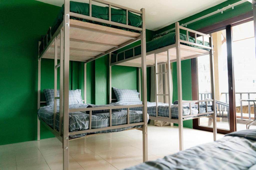 2 łóżka piętrowe w pokoju z zielonymi ścianami w obiekcie Aonang Knockout Hostel w Aonang Beach