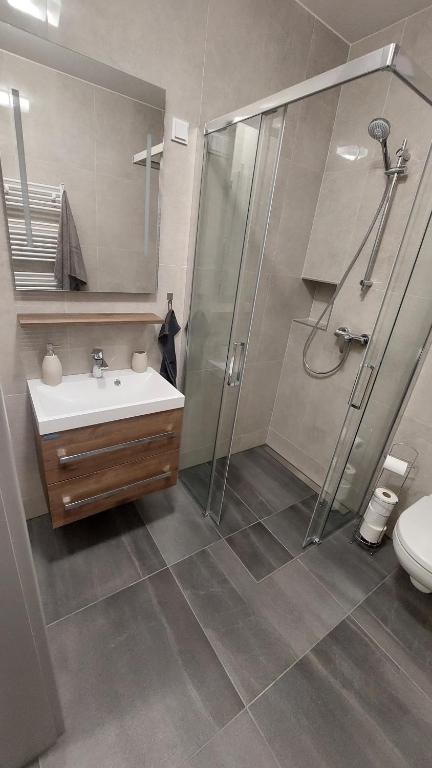 Koupelna v ubytování Apartmán Štěpa