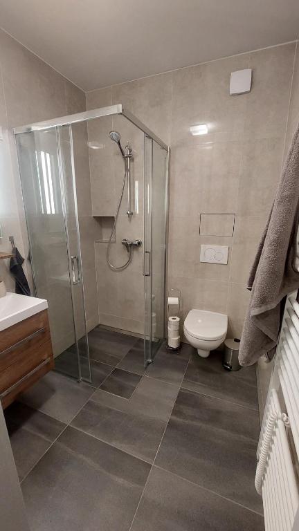 Koupelna v ubytování Apartmán Štěpa