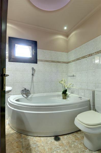 Koupelna v ubytování Iatrou Guesthouse