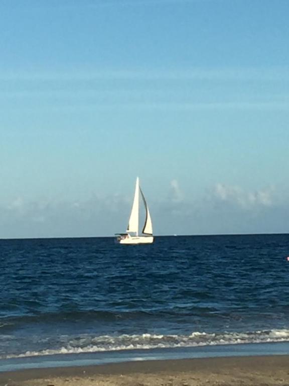 a sail boat in the ocean with a beach at Palm Beach Mermaid in West Palm Beach