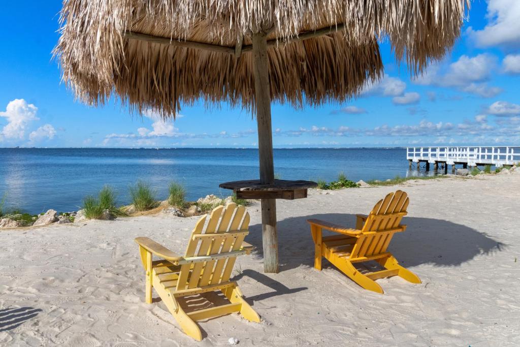 two chairs and an umbrella on the beach at Beachy Vibes + Game Day Fun on the Bay! in Tampa
