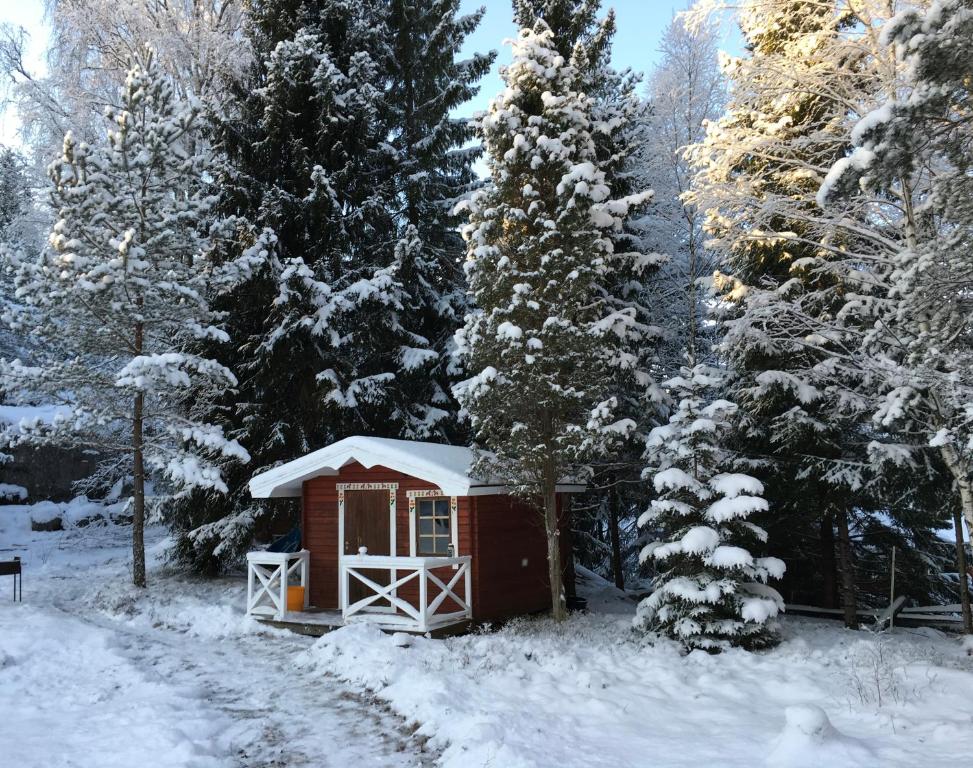 L'établissement A cosy cottage in Norrtälje en hiver