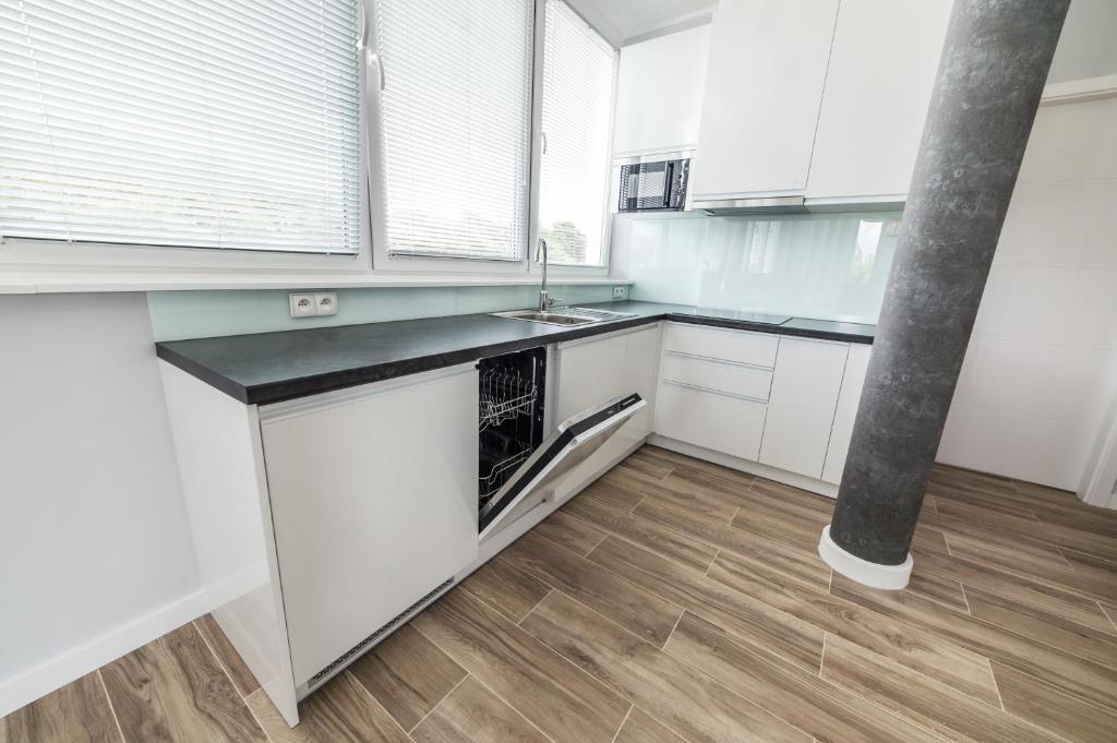 Kuchyň nebo kuchyňský kout v ubytování Silver One Apartments