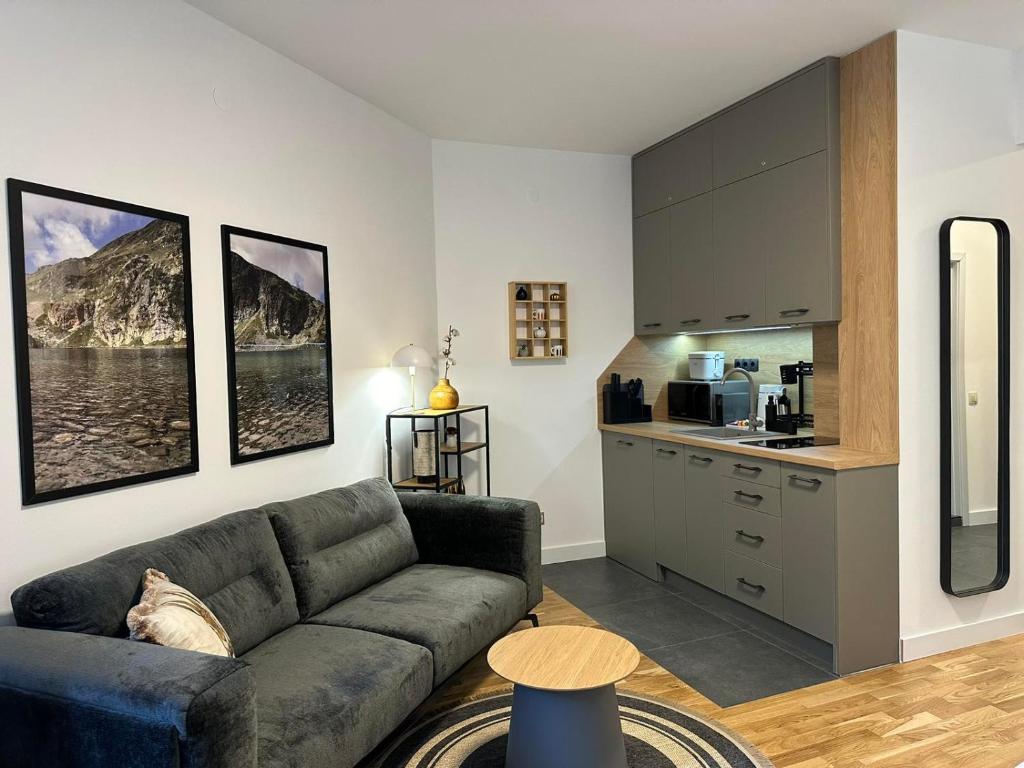 uma sala de estar com um sofá e uma cozinha em Sana Ski apartment 313A in Flora, Borovets em Borovets