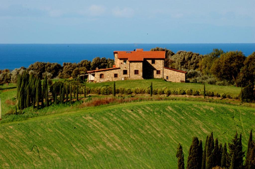 a house on top of a green field with trees at Podere Novo in Bibbona