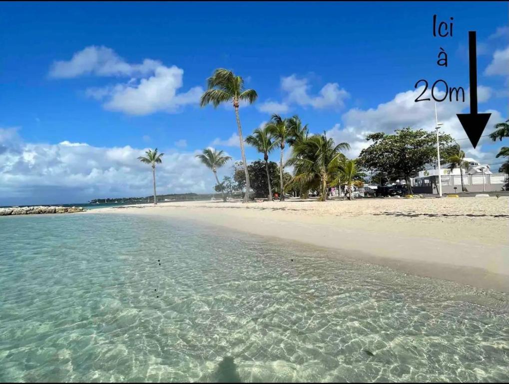 une plage avec des palmiers dans l'eau dans l'établissement Plage St-Anne T2 duplex sans vue, à Sainte-Anne