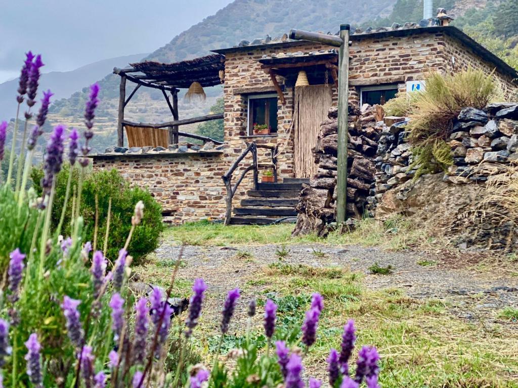 una casa de piedra con flores púrpuras delante de ella en Casa Rural Cortijo Molino Altero en Trevélez