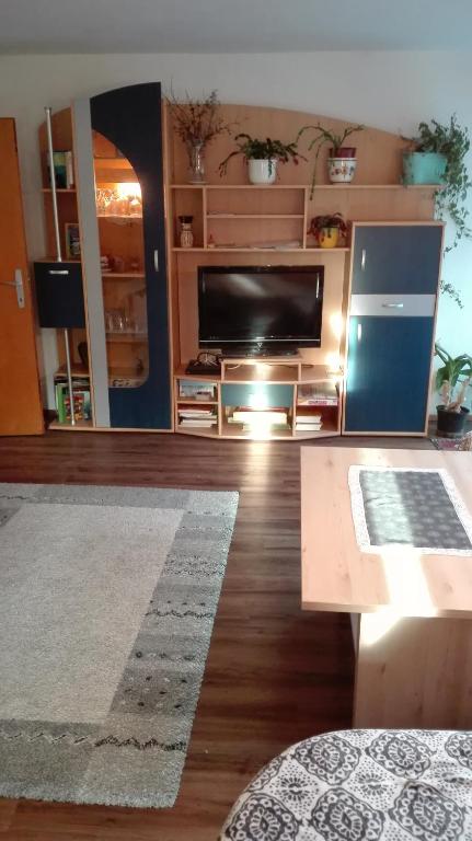 TV a/nebo společenská místnost v ubytování Haus Agerer FEWO 2. Stock