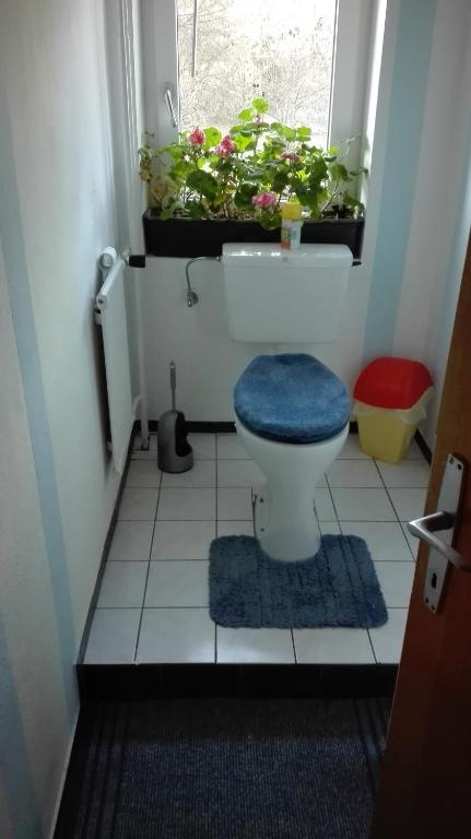 Fotografie z fotogalerie ubytování Haus Agerer FEWO 2. Stock v destinaci Tarrenz