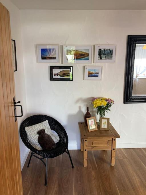 a cat sitting in a chair next to a table at The Potters Cottage in Clifden