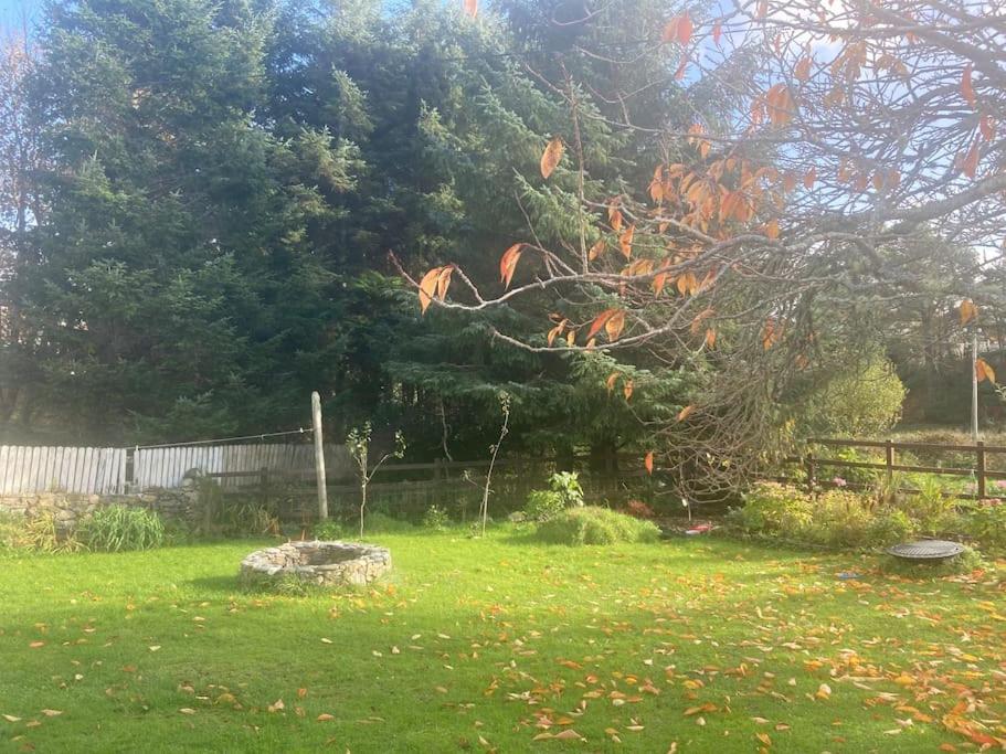a large tree in a yard next to a fence at The Potters Cottage in Clifden