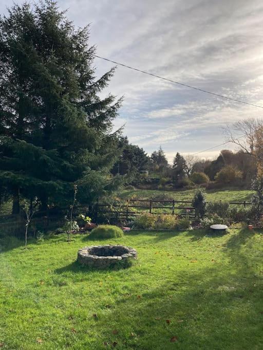 a grassy yard with a stone circle in the grass at The Potters Cottage in Clifden