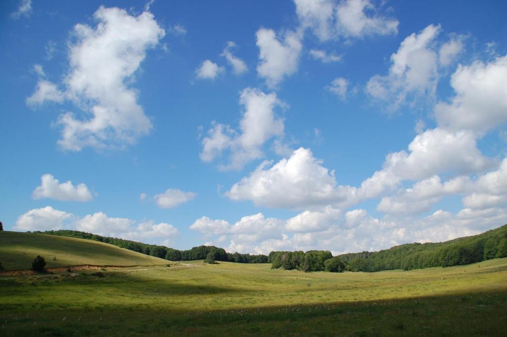 Paesaggio naturale nelle vicinanze dell'hotel