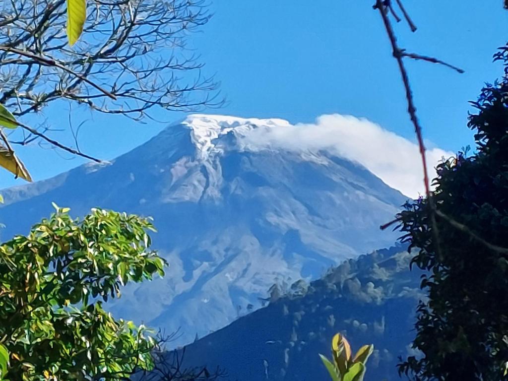 a snow covered mountain in the sky with trees at GLAMPING EL Mirador in Ibagué