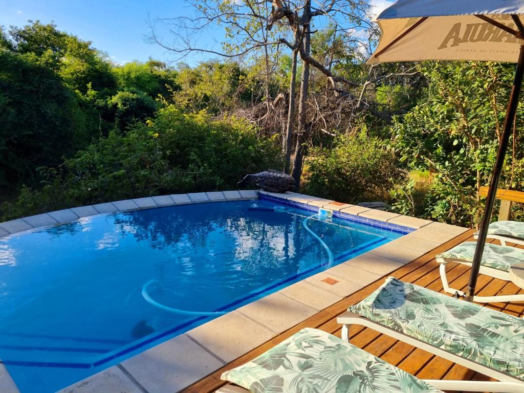 a swimming pool with two chairs and an umbrella at Kingfisher Creek Safari Lodge in Hoedspruit