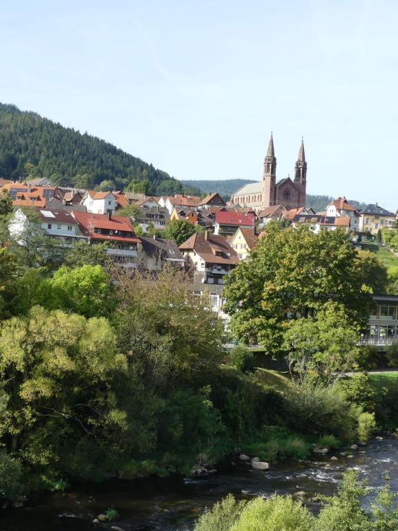 Příroda nedaleko apartmánu
