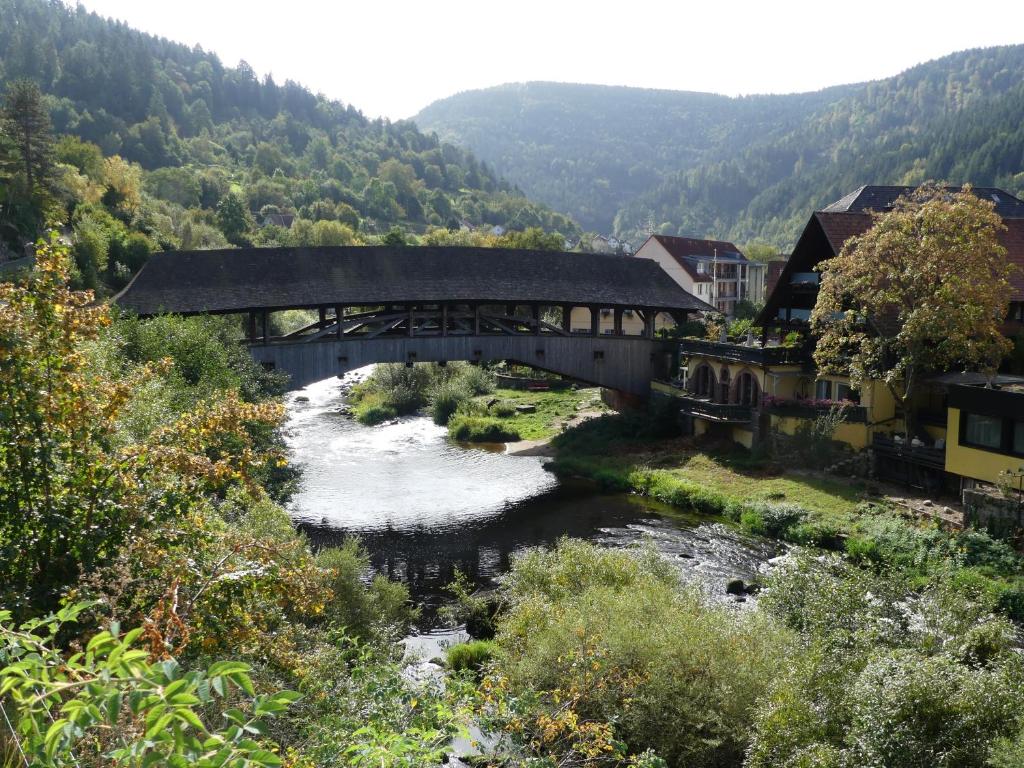 Příroda nedaleko apartmánu