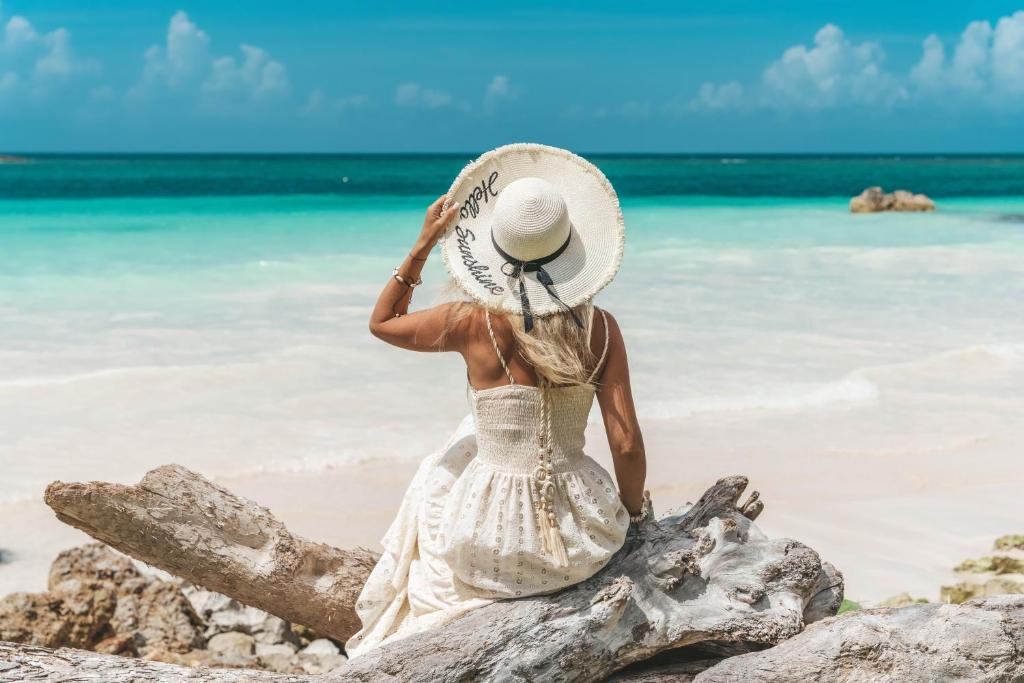 Best Hotels in Samana Peninsula, Dominican Republic. 506351276