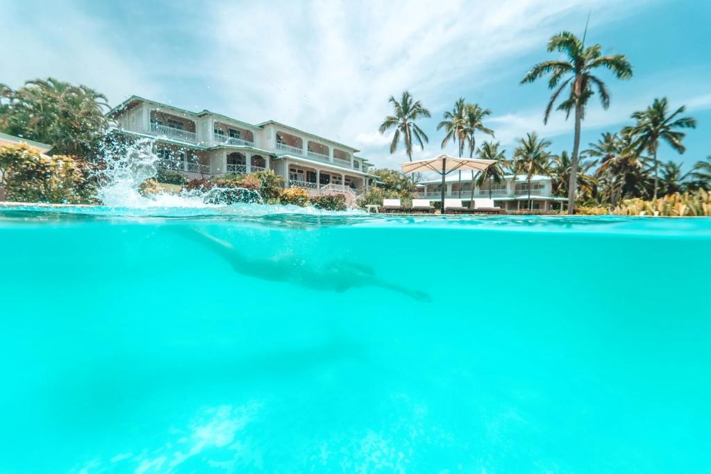 Best Hotels in Samana Peninsula, Dominican Republic. 506351344