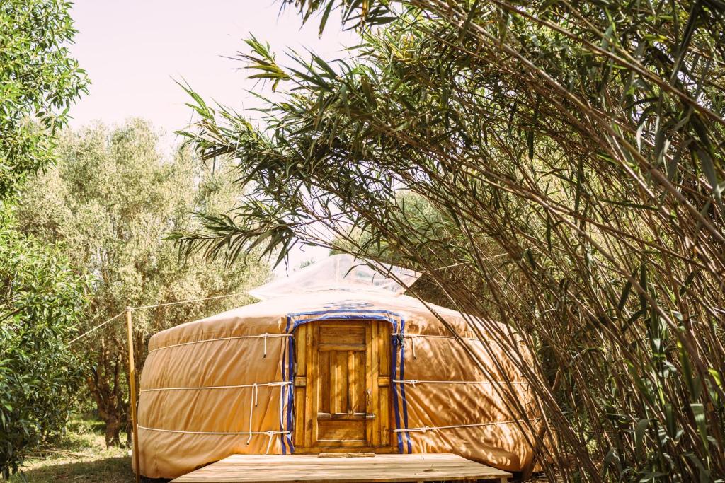 a yurt with a wooden door under a tree at La Veleta Cádiz in Cádiz