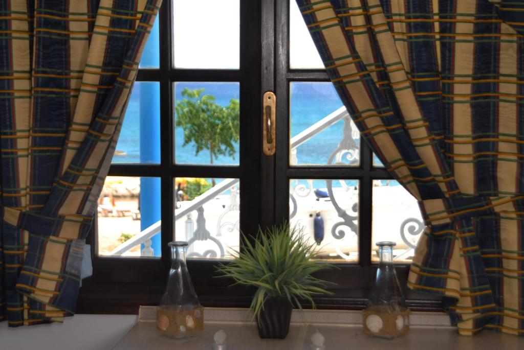 a window with curtains and a plant in front of it at Stegnailion in Archangelos