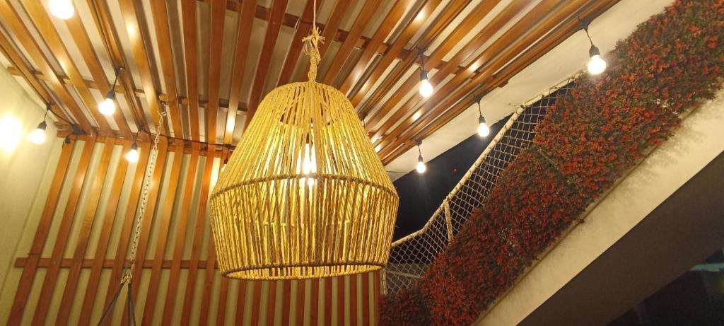 a hanging gold chandelier in a hallway with flowers at Teresita's House Suite 3 con cocina privada in Puerto Baquerizo Moreno