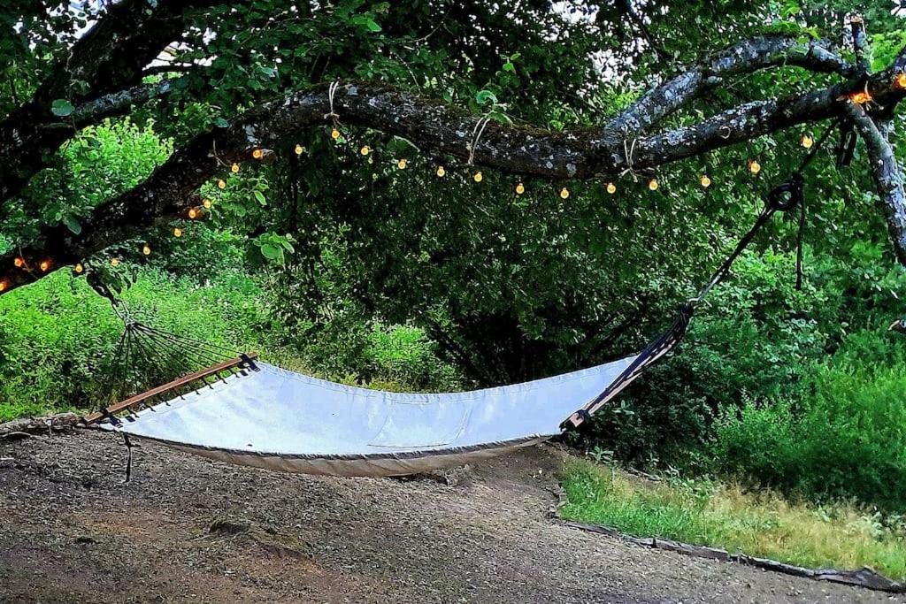 a hammock hanging from a tree in a yard at La Maison Thébaïde in Mortagne