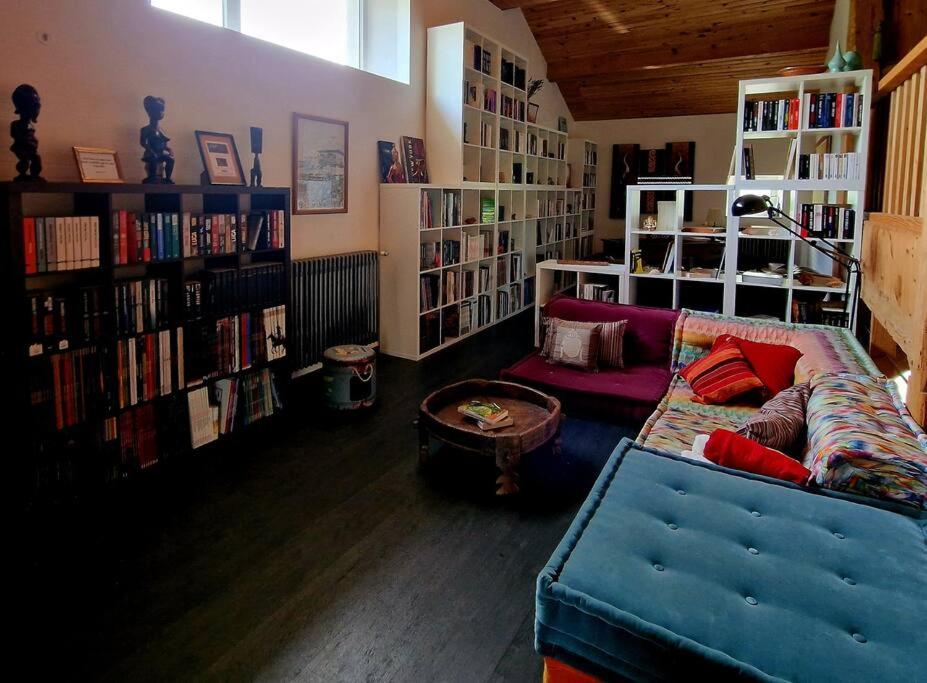 a living room with a couch and shelves of books at La Maison Thébaïde in Mortagne
