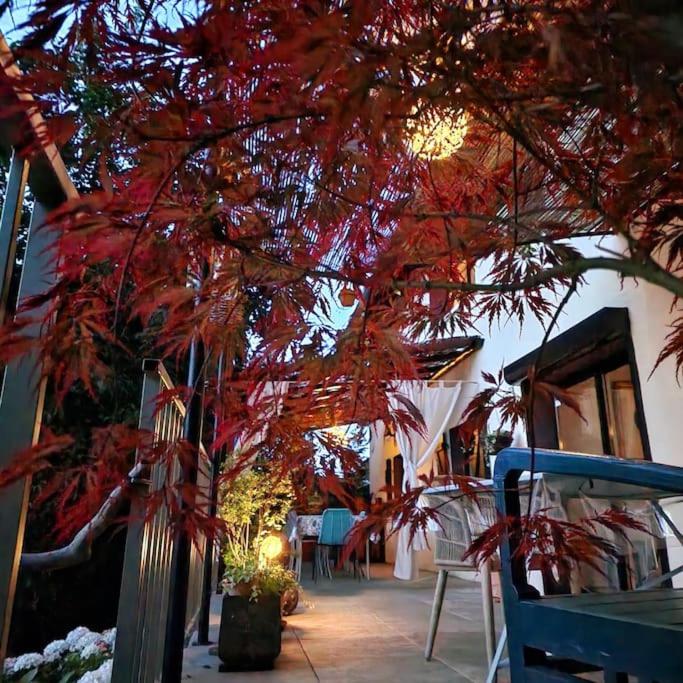 a tree with red leaves on a patio at La Maison Thébaïde in Mortagne
