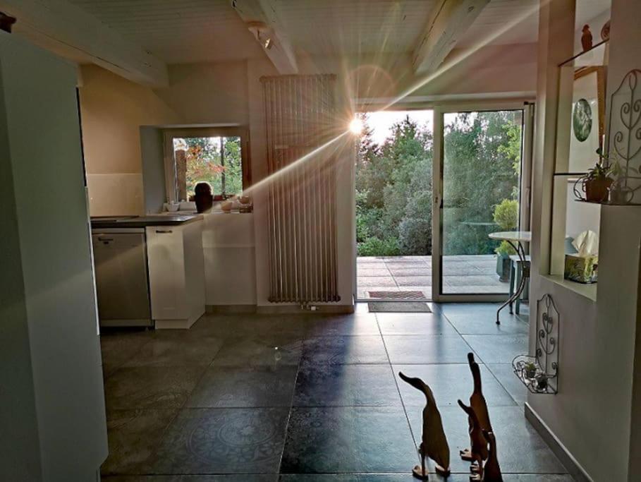 a kitchen with two dogs standing in the middle of a room at La Maison Thébaïde in Mortagne