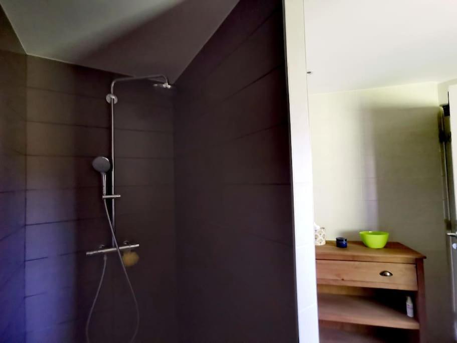 a bathroom with a shower with a shower head at La Maison Thébaïde in Mortagne