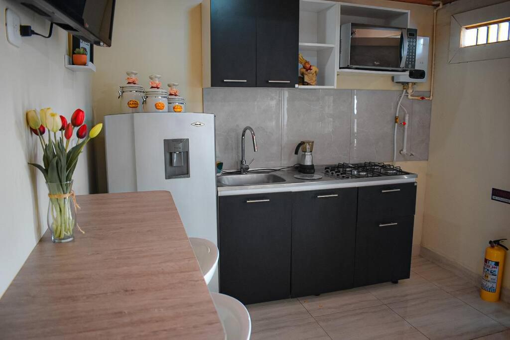 a kitchen with a sink and a refrigerator and a table at A Bless Apartamento in Salento
