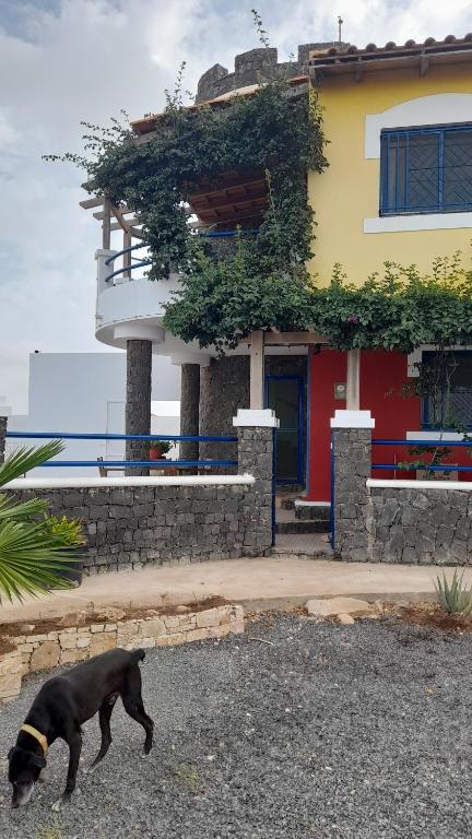 Domácí mazlíčci ubytovaní s hosty v ubytování Casa Torre