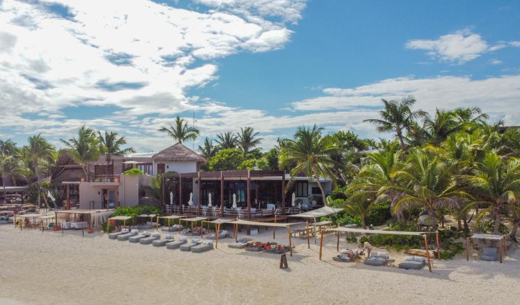 Lula Seaside Boutique Hotel في تولوم: منتجع على الشاطئ فيه نخل