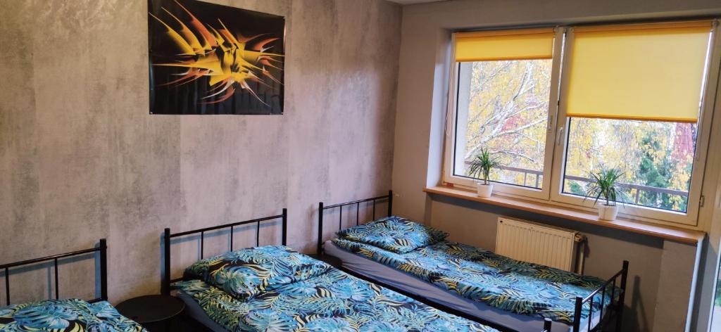 dwa łóżka w pokoju z dwoma oknami w obiekcie Zaciszne pokoje w Warszawie