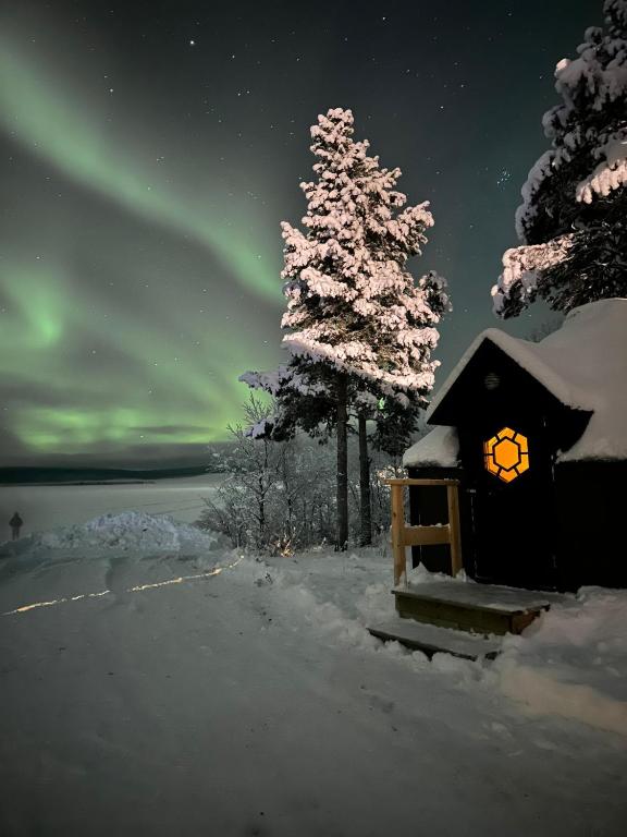 une cabine dans la neige avec un arbre et l'aurore dans l'établissement Camp Caroli Hobbit Hut, à Jukkasjärvi